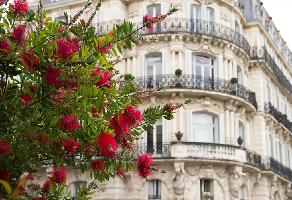 Carrière professionnelle à Montpellier, quelles opportunités ? La décision de choisir une carrière professionnelle à Montpellier n'est pas simplement un choix professionnel, mais une aventure qui façonne votre vie quotidienne dans cette magnifique ville du sud de la France. Que vous soyez un jeune diplômé plein d'ambitions ou un professionnel chevronné en quête de nouvelles perspectives, cet article détaillé vous guidera à travers les différentes facettes du monde professionnel montpelliérain. Carrière professionnelle à Montpellier